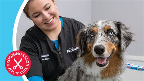 petsmart dog grooming school